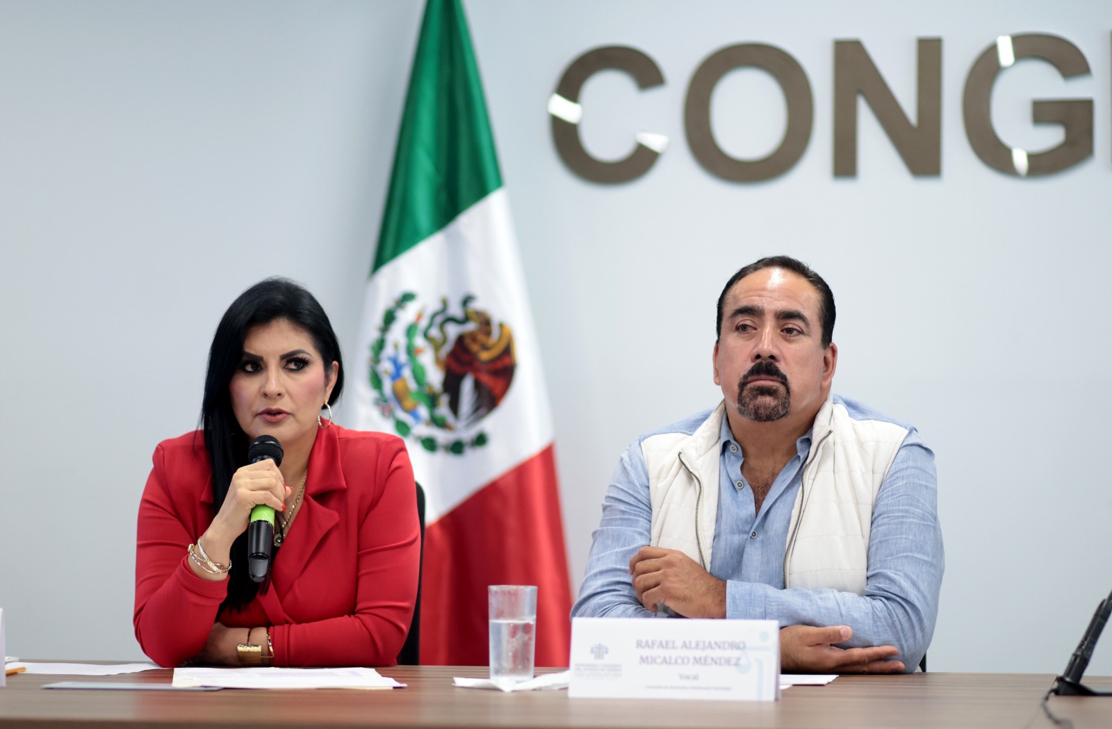 delfina-pozos-rafael-micalco
