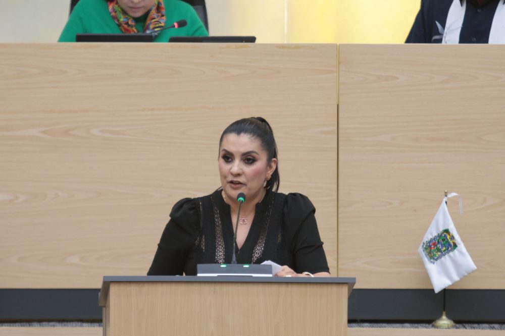 delfina-pozos-vergara