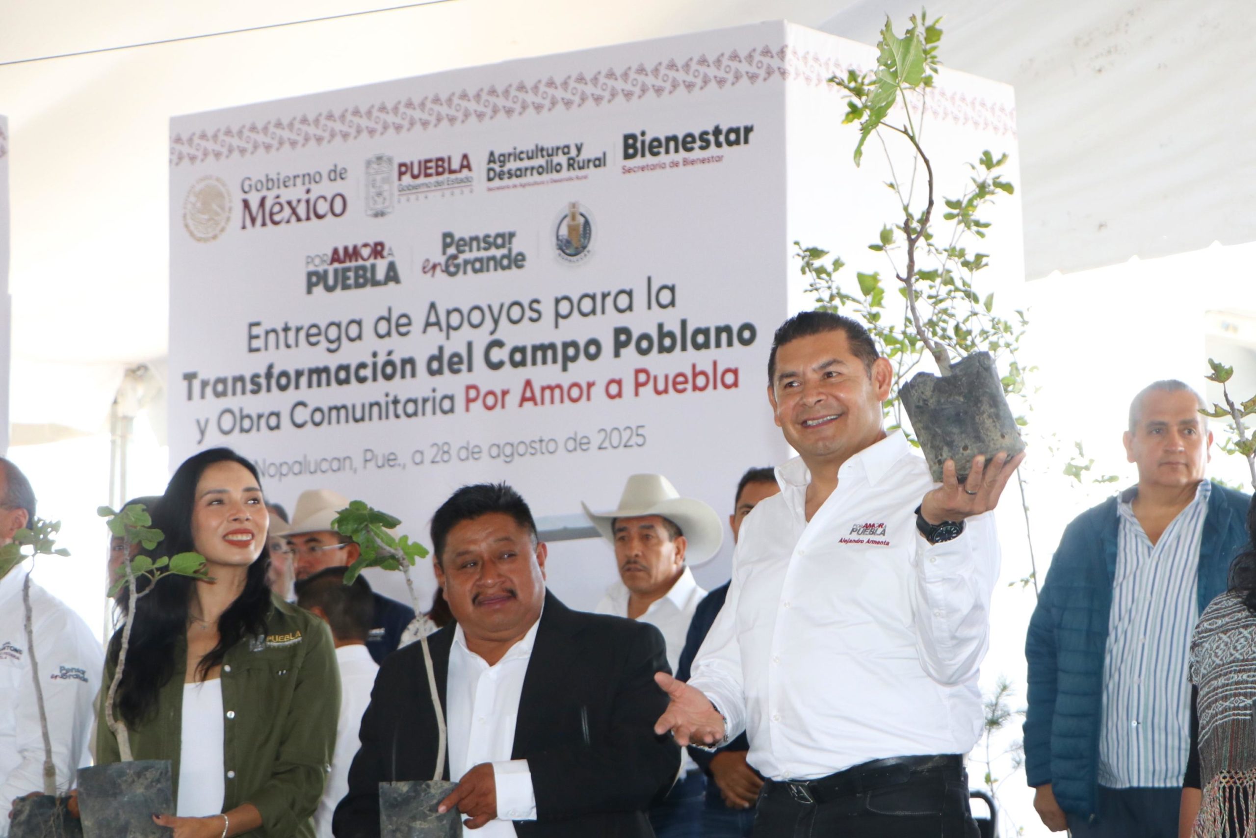 Programa "Transformación del Campo"