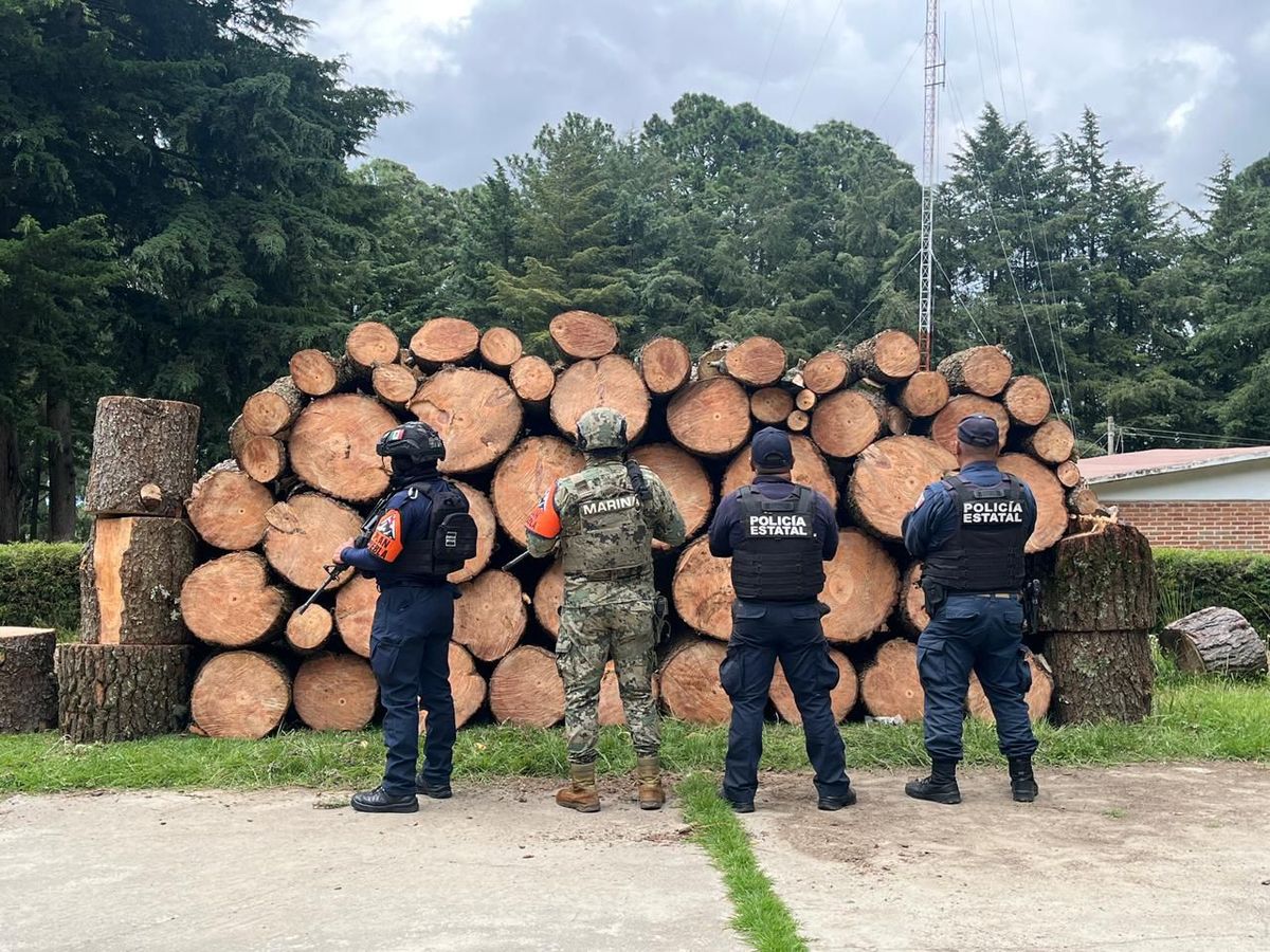 ssp-pue-aseguramiento-madera