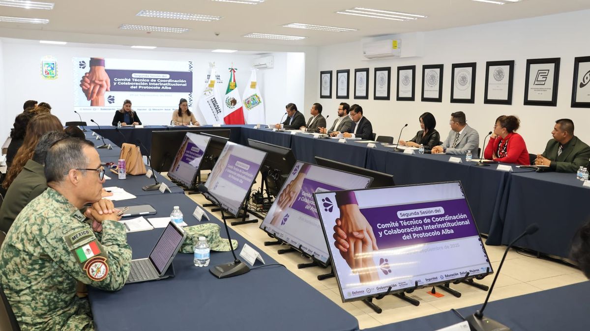 protocolo-alba-segunda-sesion-comite-tecnico