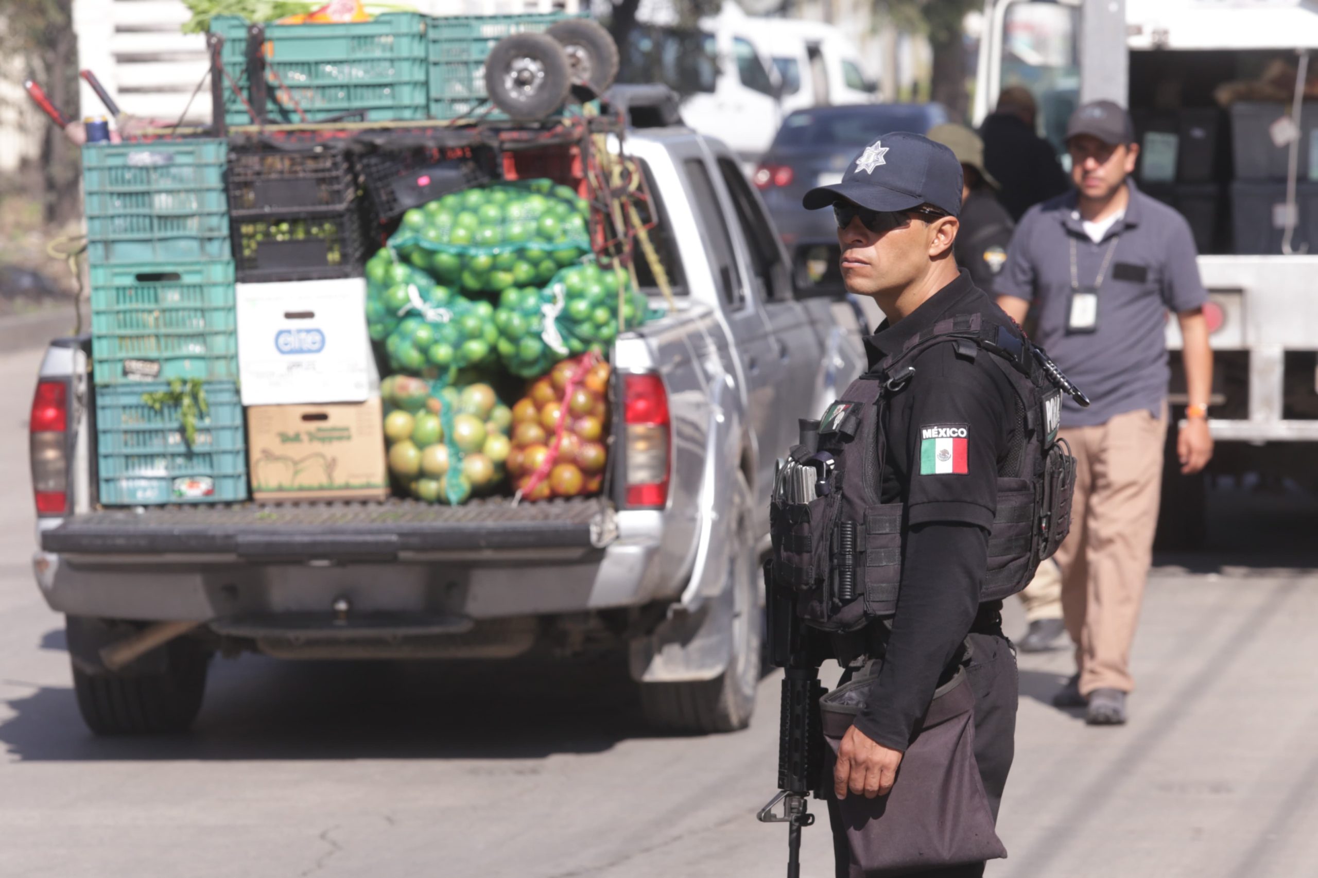 Seguridad pública
