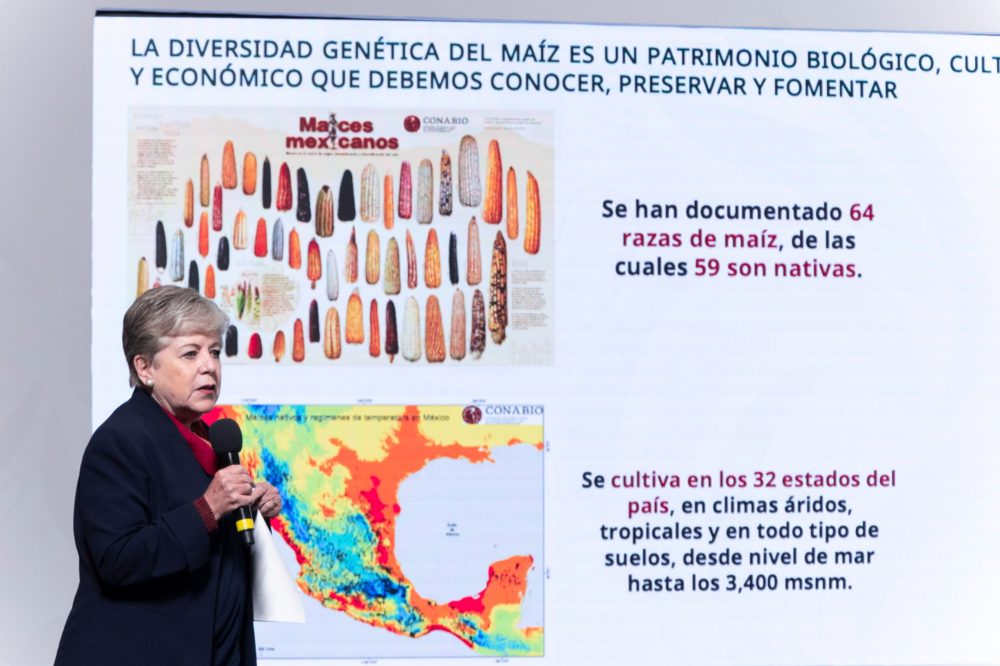 alicia-barcena-ibarra