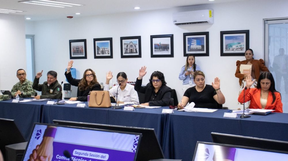 protocolo-alba-segunda-sesion-comite-tecnico