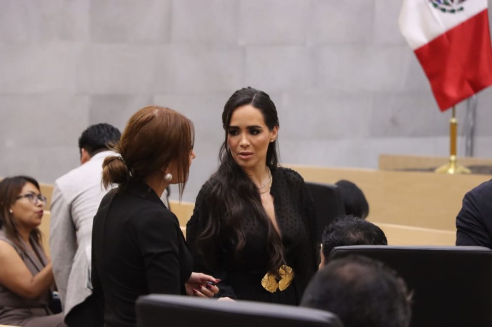 elvia-graciela-palomares-ramirez
