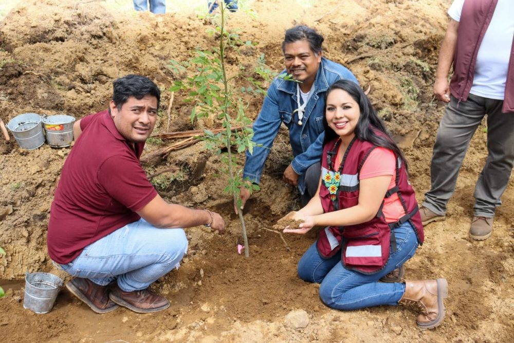 sp-cholula-jornada-reforestacion-sp-cholula