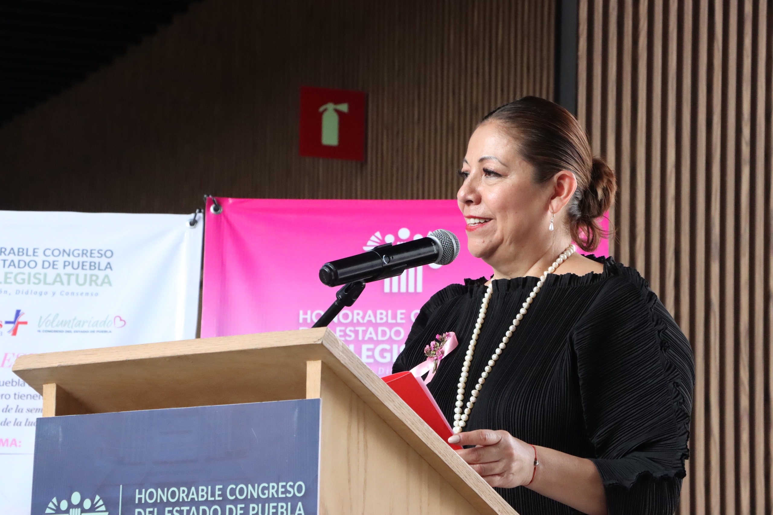 Laura Artemisa García Chávez, presidenta de la Junta de Gobierno y Coordinación Política