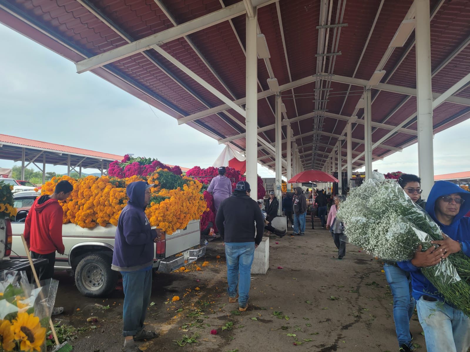 Venta de flor de cempasúchil