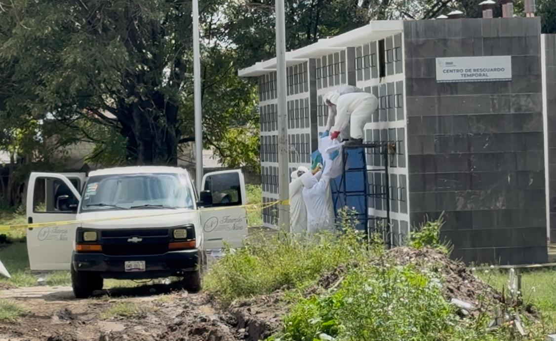 Programa de Identificación Humana
