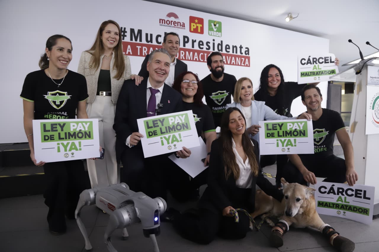 Ley Pay de Limón
