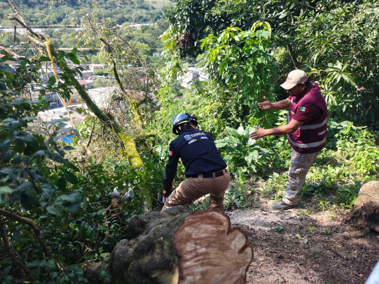 Protección Civil atiende afectaciones por lluvias en Chicontla, Jopala