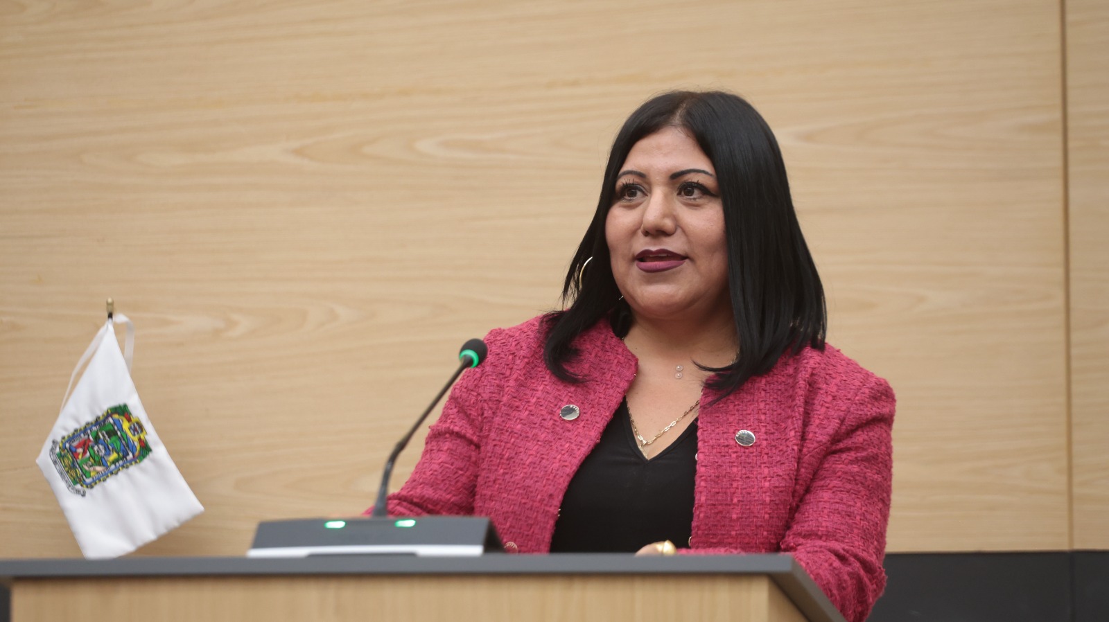 araceli-celestino-rosas