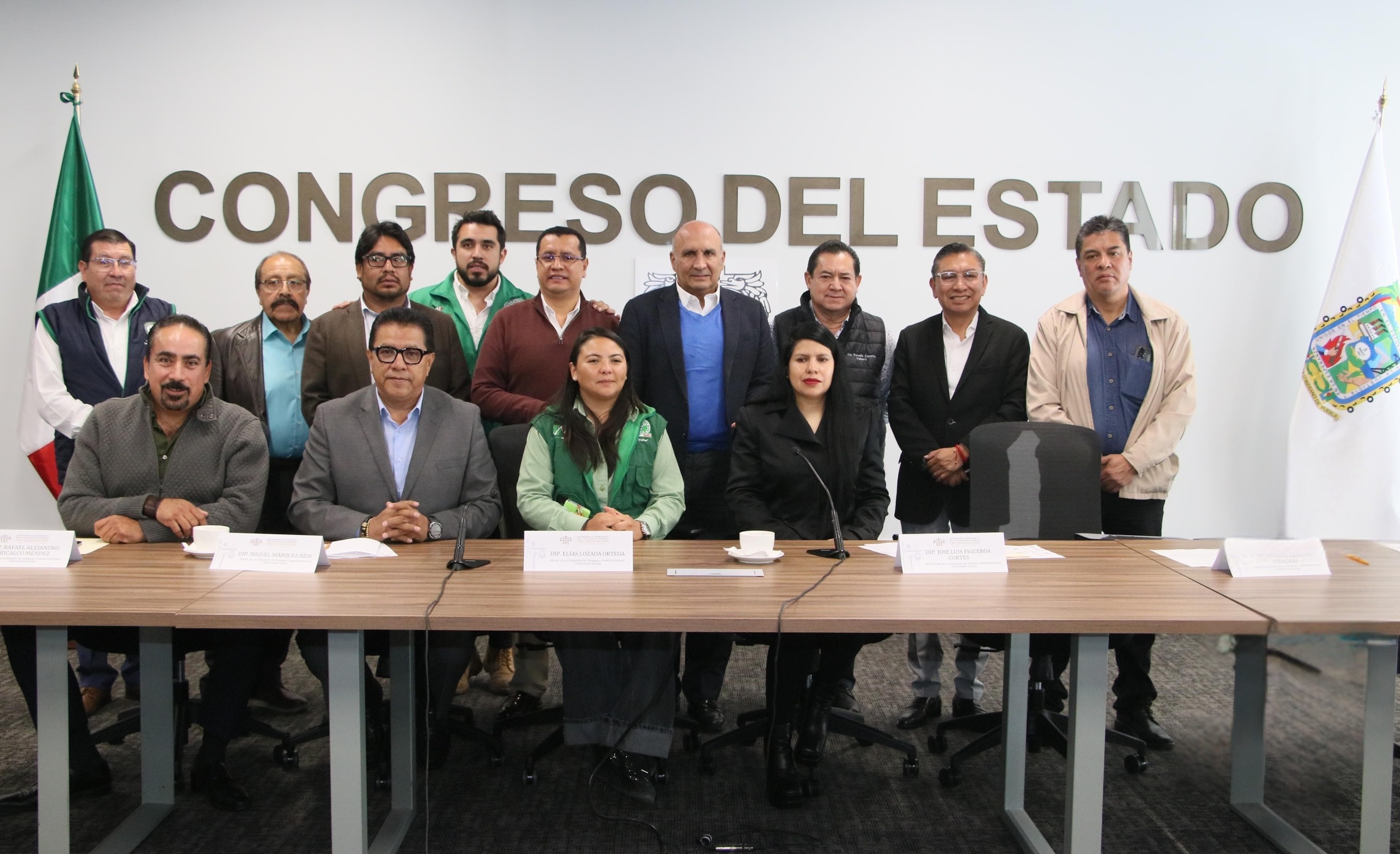 Comisión de Trabajo del Congreso