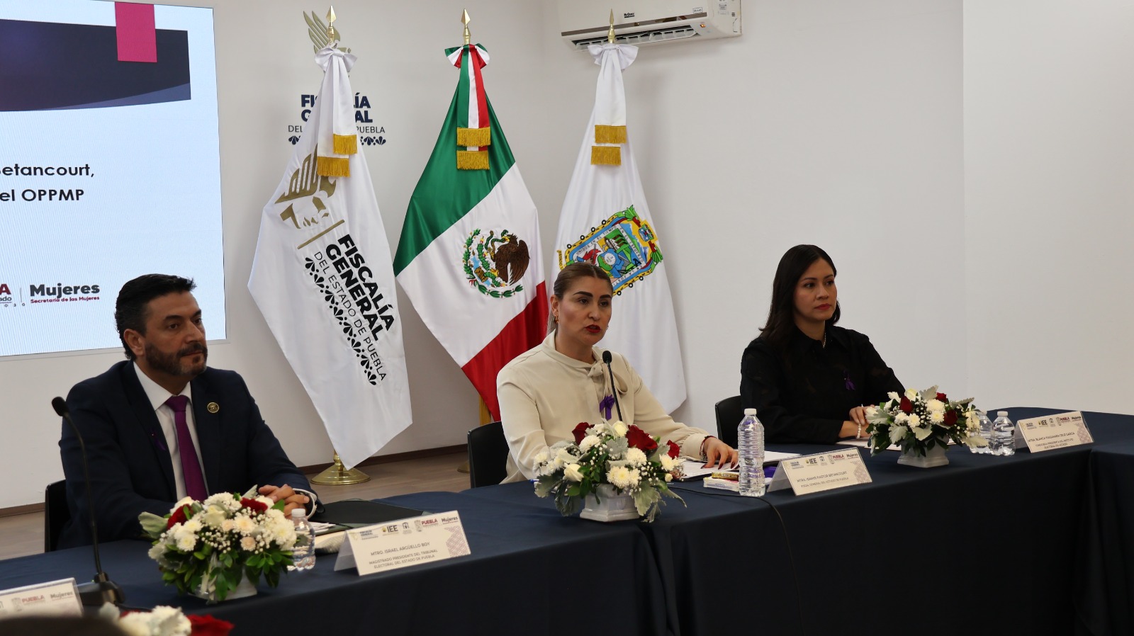 Idamis Pastor Betancourt continuará dos años más al frente del Observatorio de Participación Política de las Mujeres