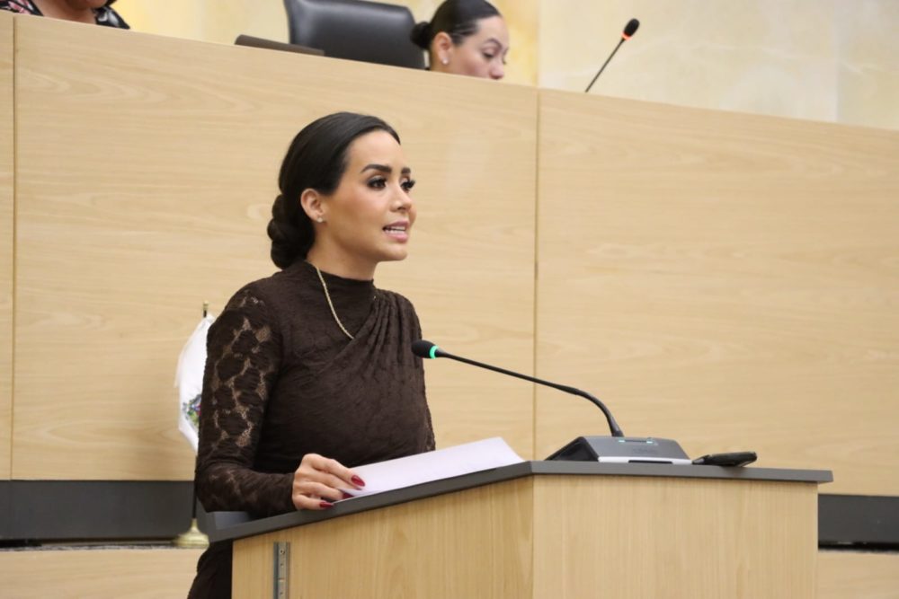 elvia-graciela-palomares-ramirez