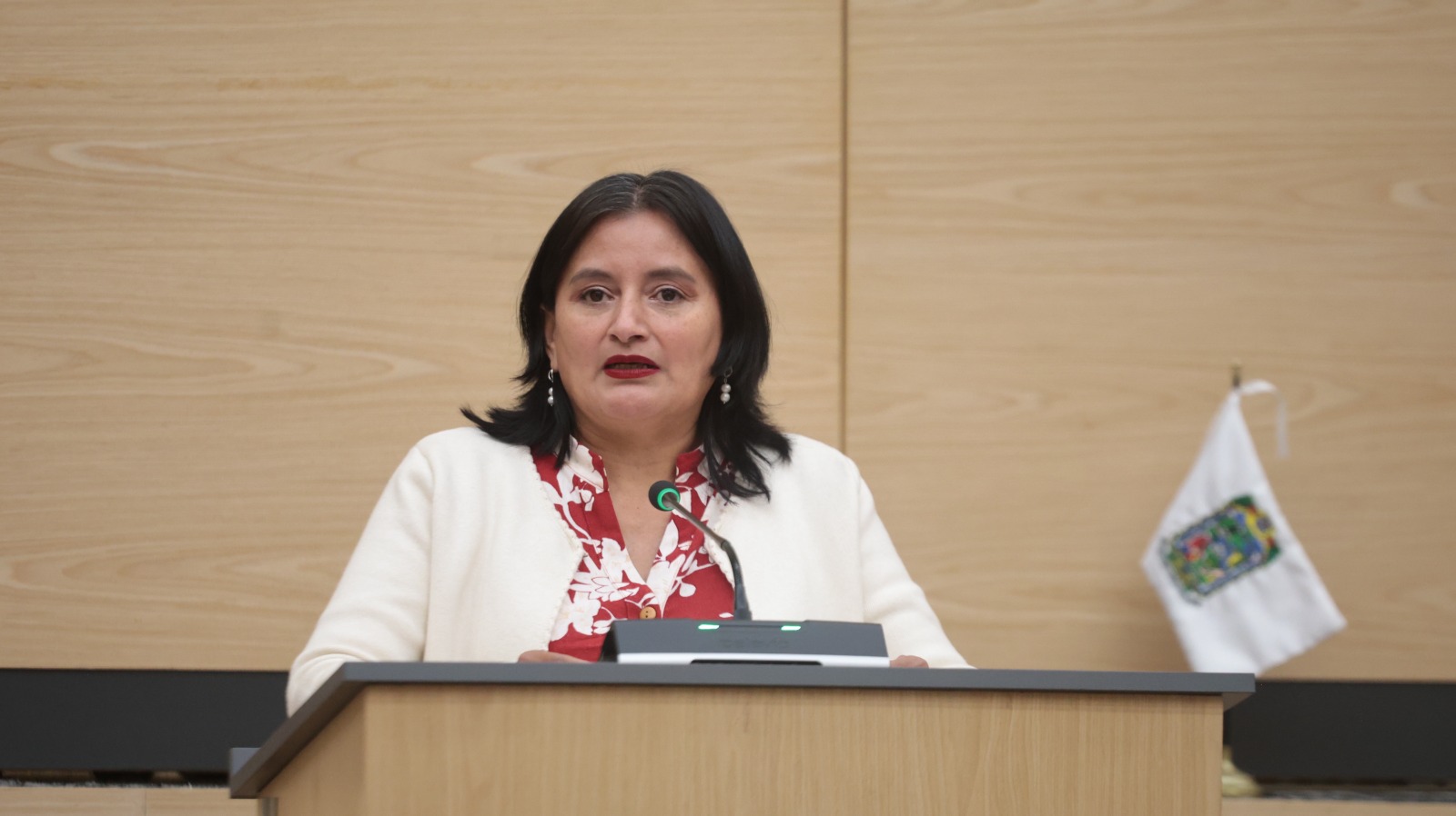 Diputada Araceli Celestino impulsa reformas a la Ley de Amnistía a favor de personas migrantes