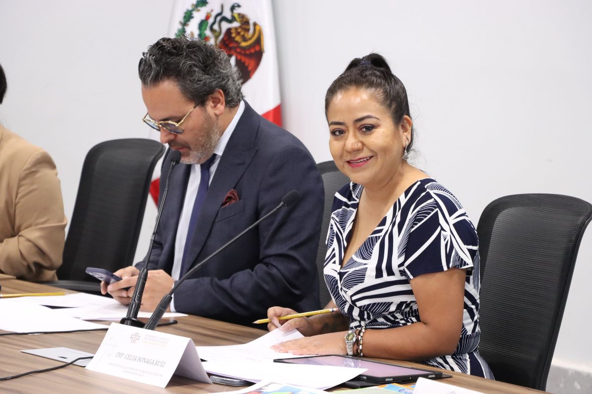 Celia Bonaga Ruíz, diputada presidenta de la Comisión de Atención Ciudadana del Congreso del estado de Puebla. Foto: Especial
