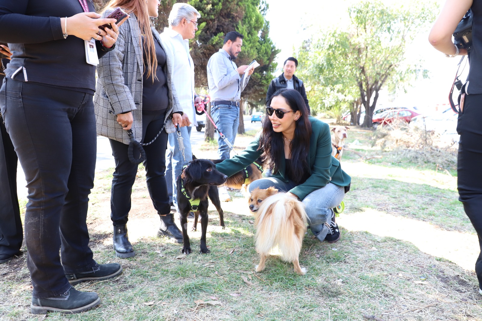 Medio Ambiente y Bienestar Animal impulsan adopción responsable de seres sintientes en Puebla