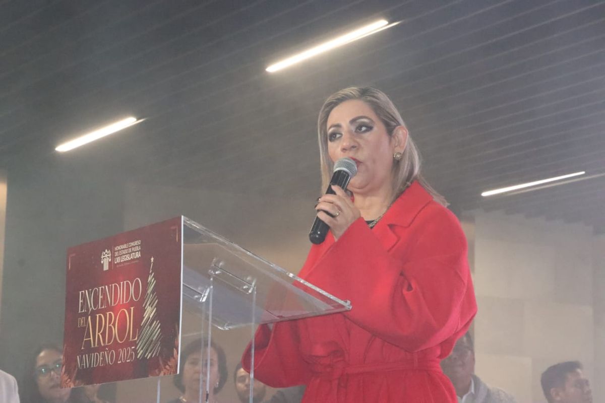 Minerva García Chávez, titular del Voluntariado del Congreso de Puebla. Foto: Especial