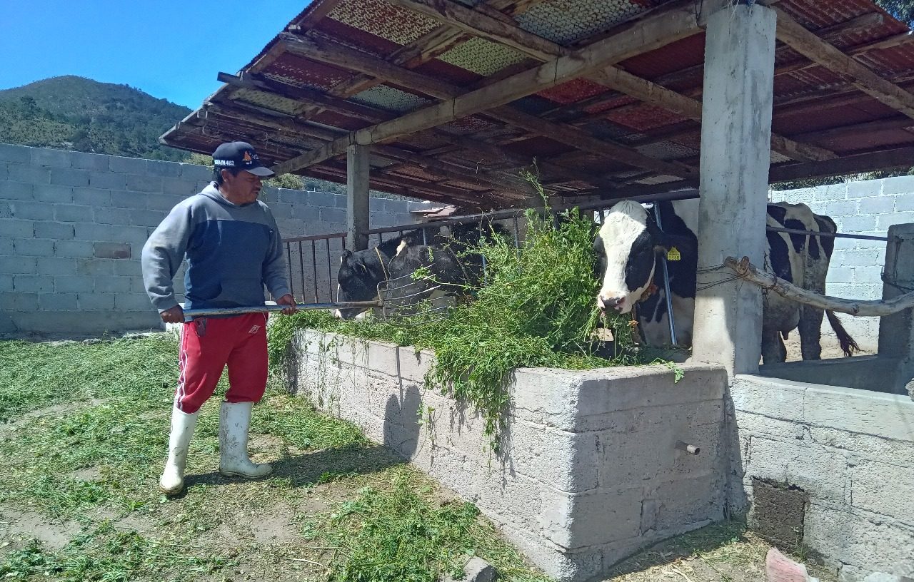 Altosano Granjas Carroll impulsa rotación de cultivos y producción forrajera
