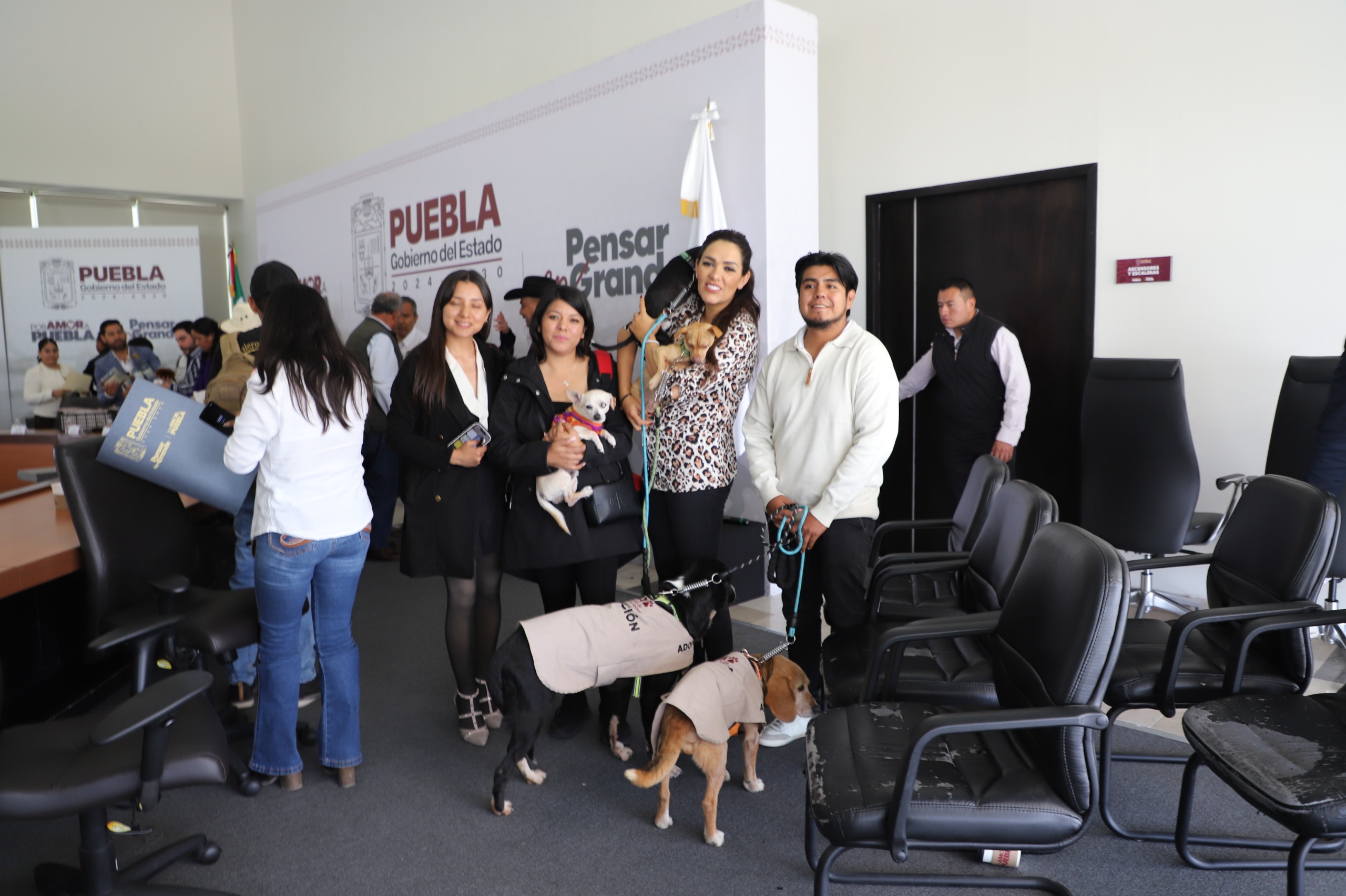 Instituto de Bienestar Animal promueve campañas invernales para resguardar a seres sintientes