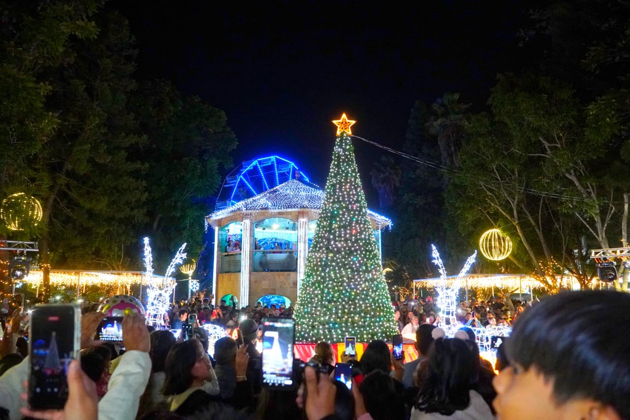 Encendido de árbol navideño