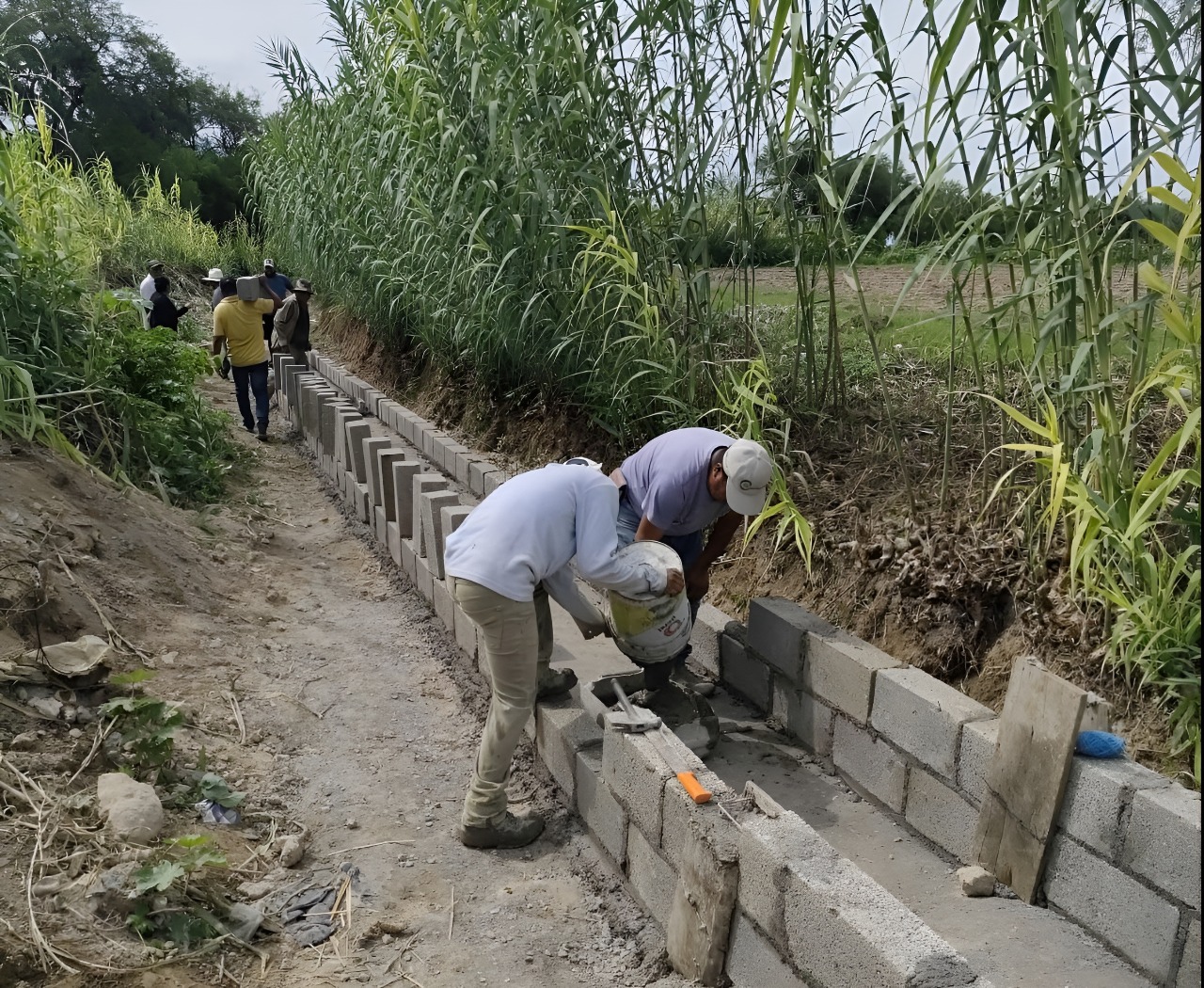 Obra Comunitaria Altepexi