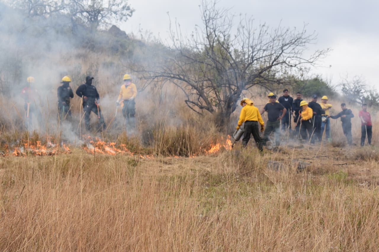 Combate de incendios forestales