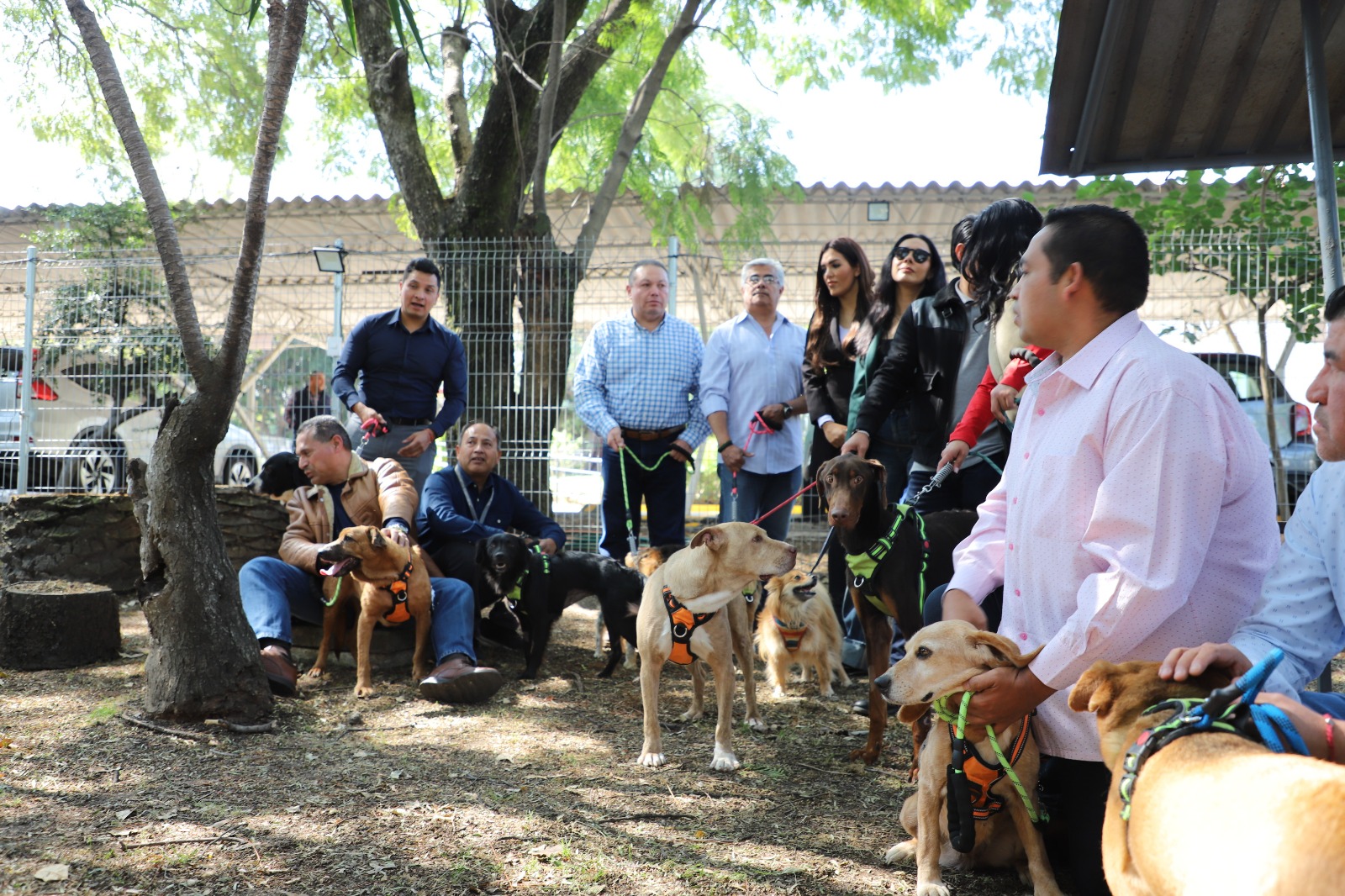 Medio Ambiente y Bienestar Animal impulsan adopción responsable de seres sintientes en Puebla
