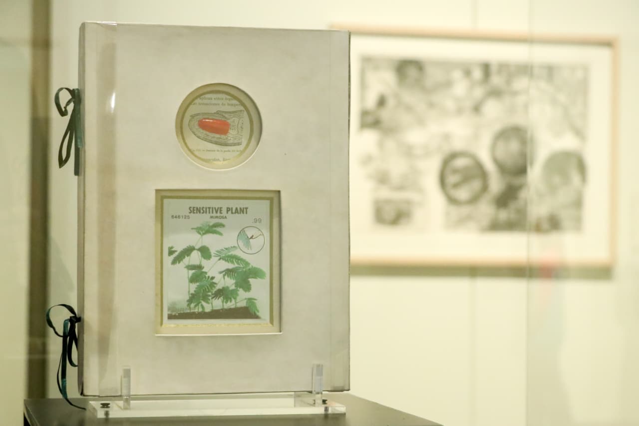 DialécticAS SURREALISTAS