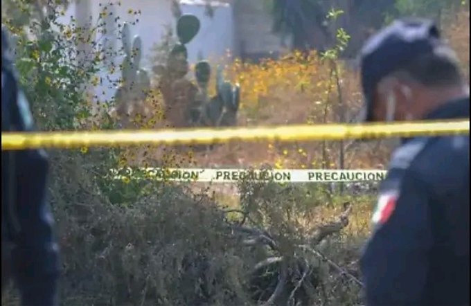 Homicidio autopista Tlaxco–Tejocotal