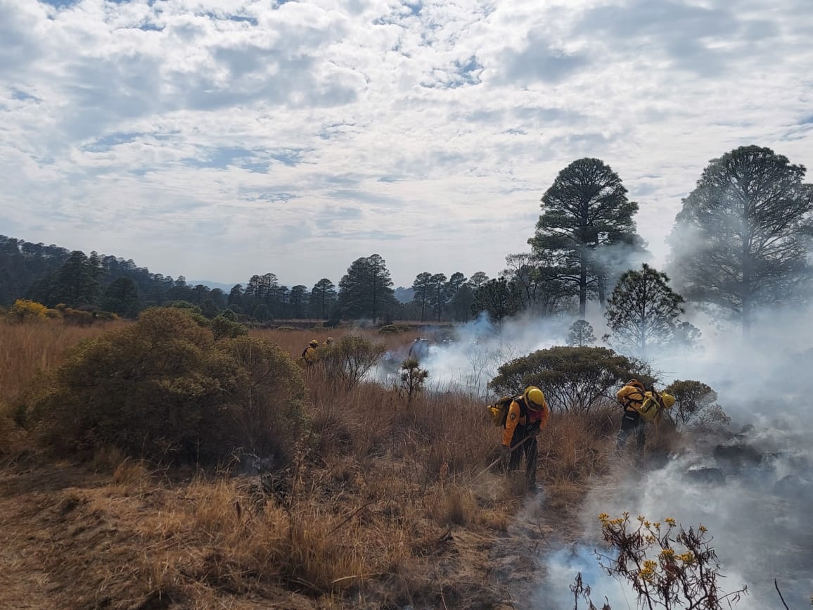 Brigadas forestales sofocan los primeros incendios de 2026