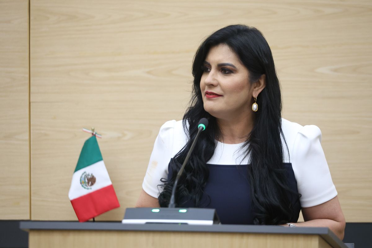 delfina-pozos-vergara
