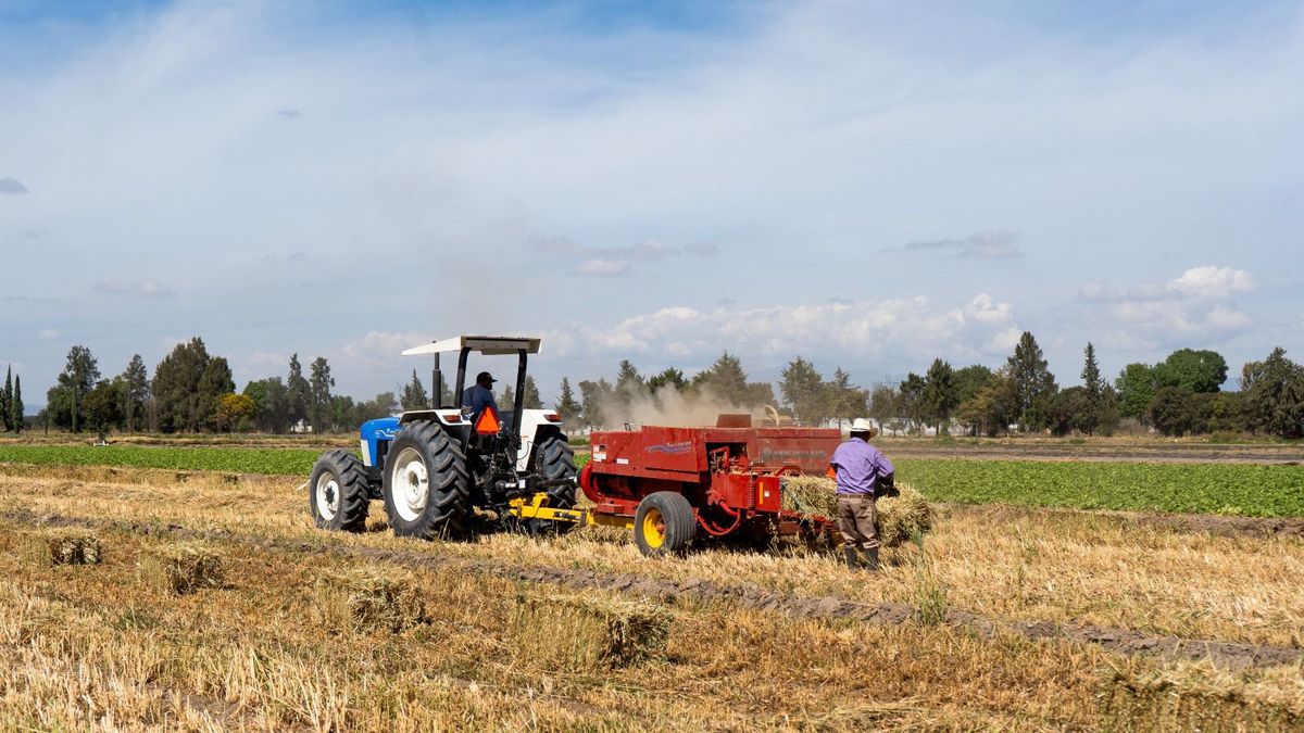 gob-pue-transformacion-campo