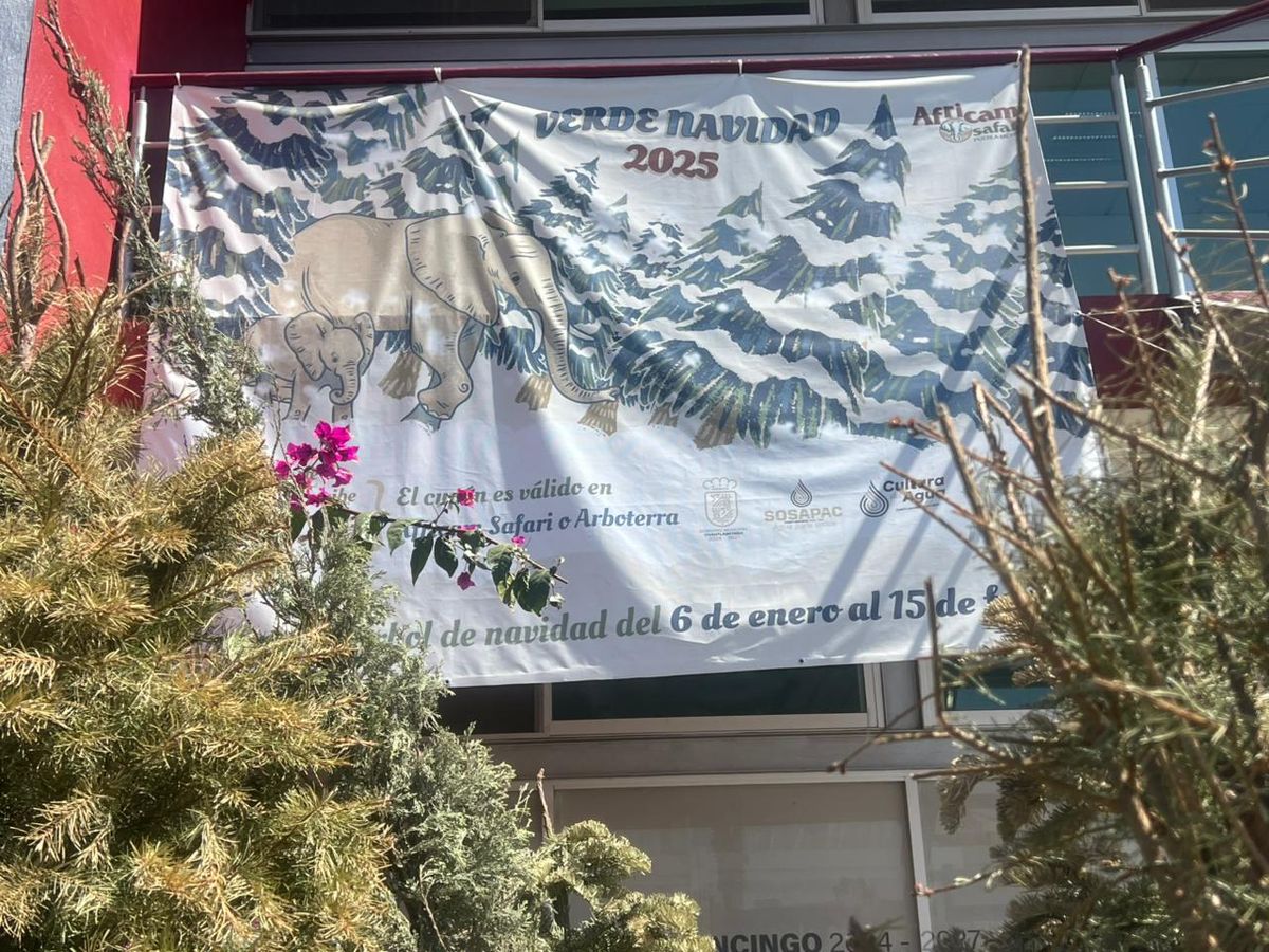 cuautlancingo-verde-navidad