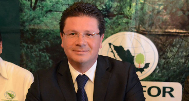Lorenzini NO va. Angón, descansa