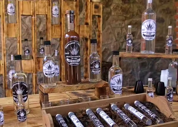 Produce Puebla medio millón de litros de mezcal