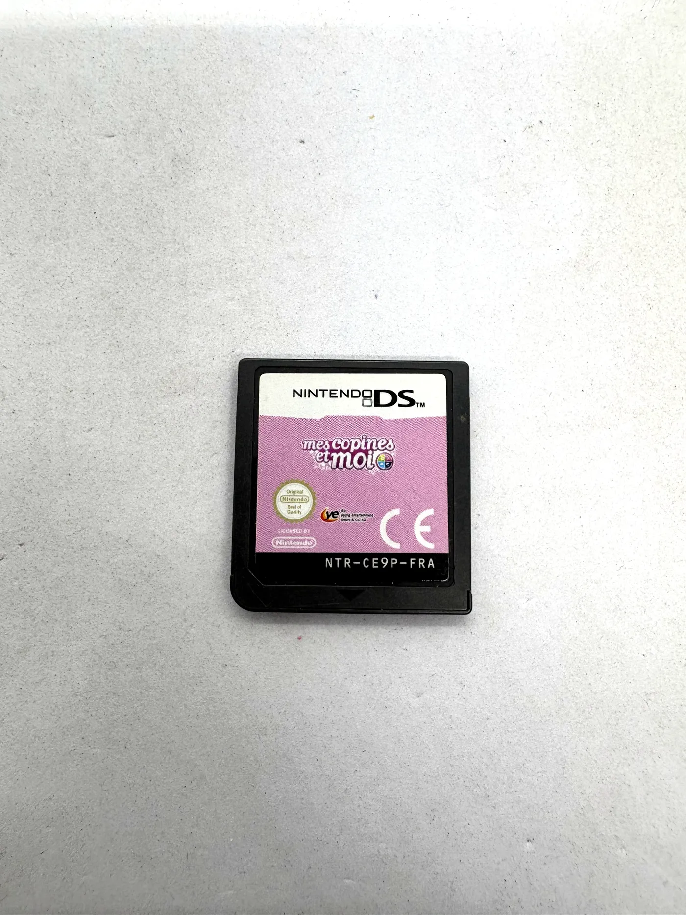 Mes Copines et Moi Nintendo DS (FR) (game only)