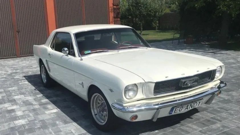 undefined Mustang