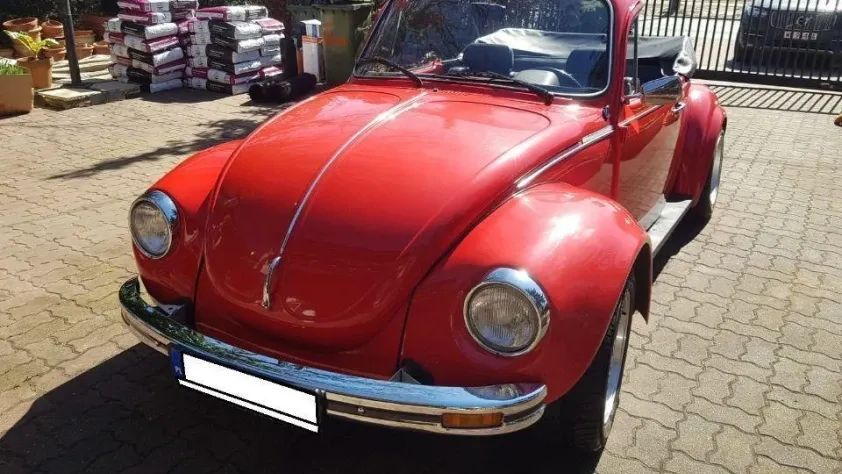 undefined Garbus