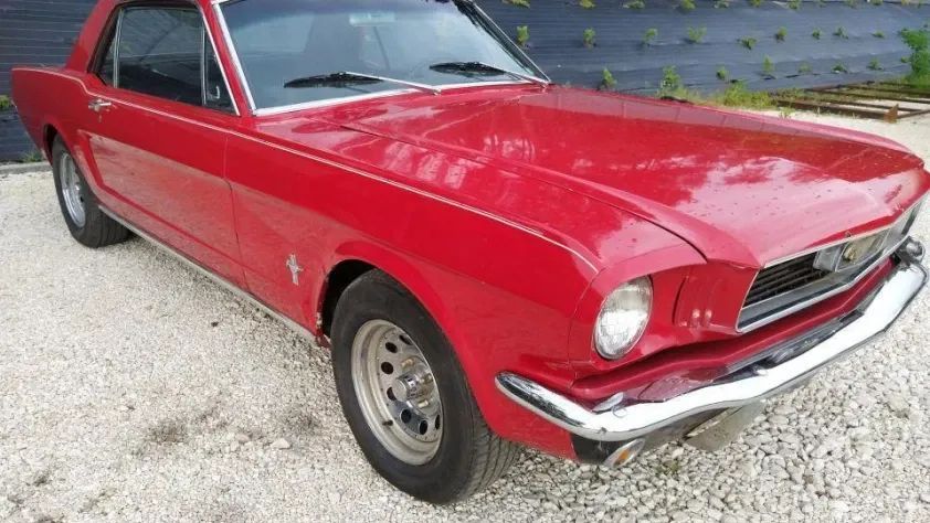 undefined Mustang