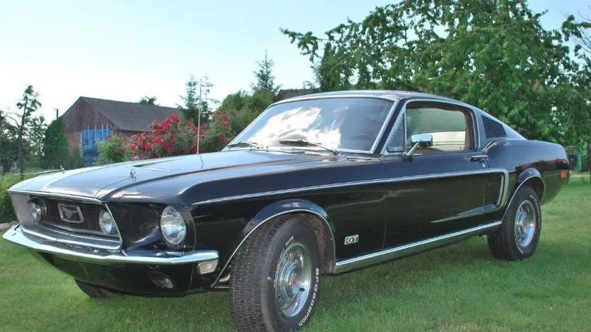 undefined Mustang Fastback GT390 S Code