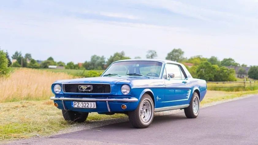 undefined Mustang