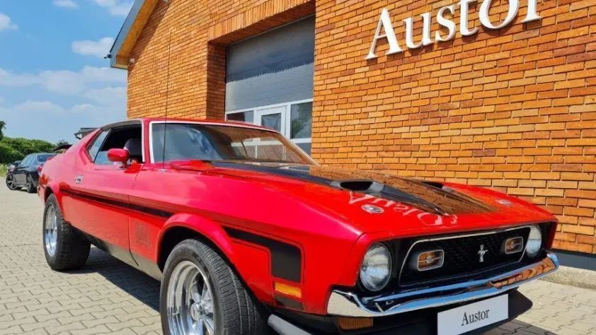 undefined Mustang Mach