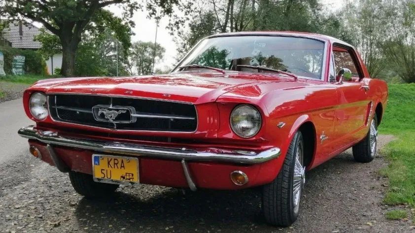 undefined Mustang