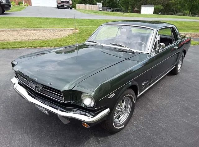 undefined Mustang