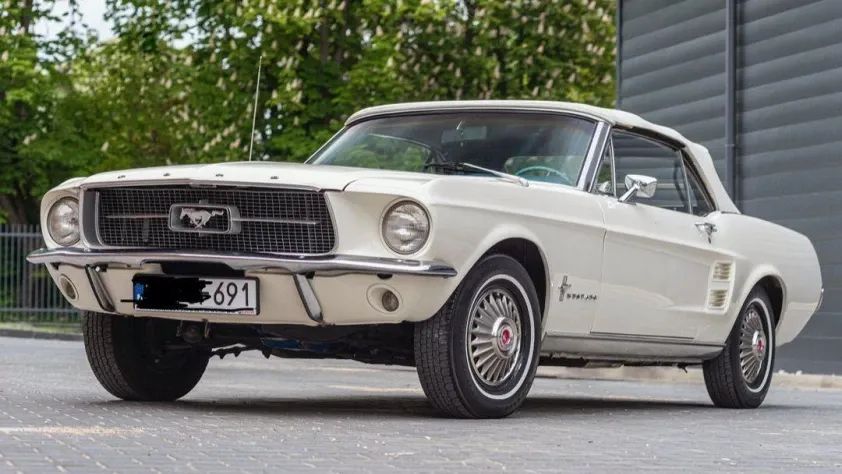 undefined Mustang