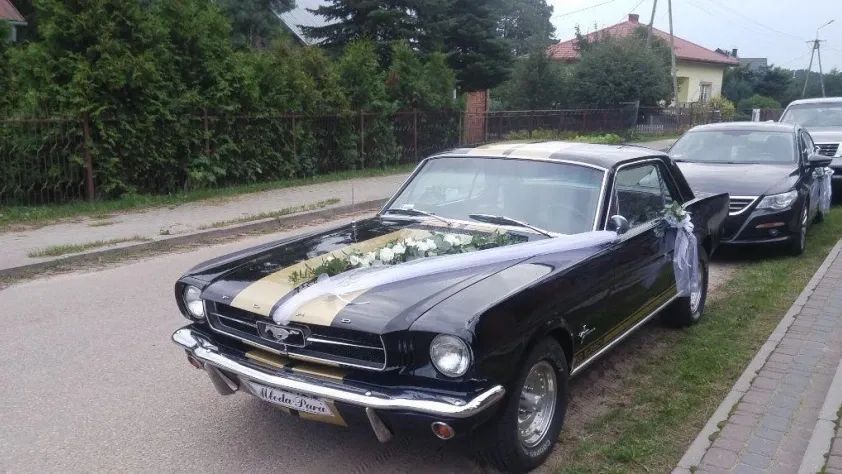 undefined Mustang
