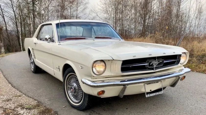 undefined Mustang