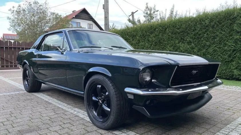 undefined Mustang